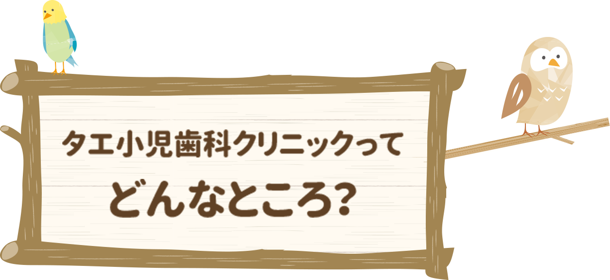 タエ小児歯科クリニックってどんなところ